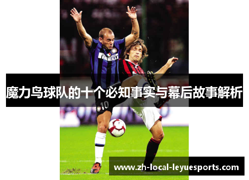 魔力鸟球队的十个必知事实与幕后故事解析