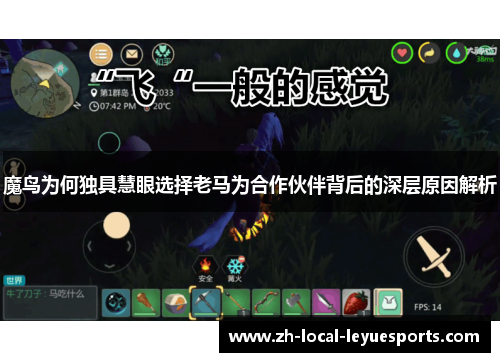魔鸟为何独具慧眼选择老马为合作伙伴背后的深层原因解析