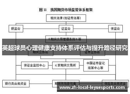 英超球员心理健康支持体系评估与提升路径研究